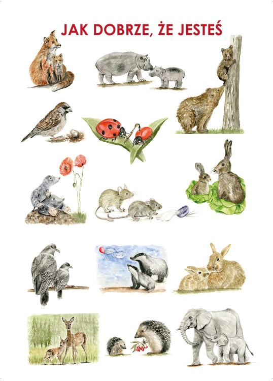 Plakat Jak dobrze, że jesteś A3