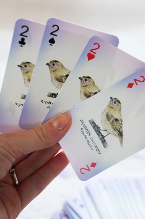 Karty do gry Ptaki na ręce