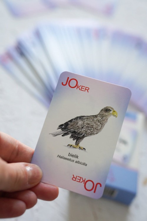 Karty do gry Ptaki joker