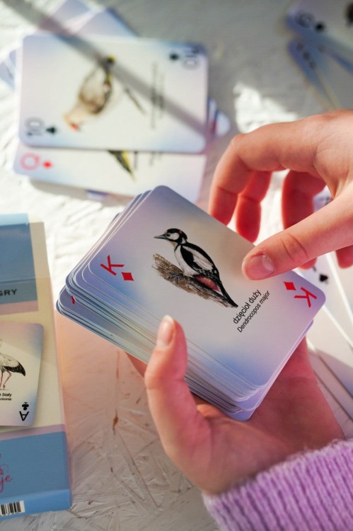 Karty do gry Ptaki król