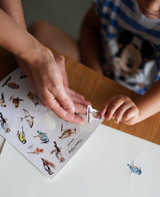 Naklejki ptaki przyklejanie