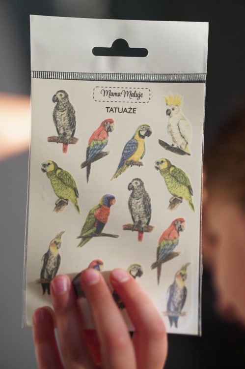 Tatuaże zmywalne dla dzieci Papugi arkusz