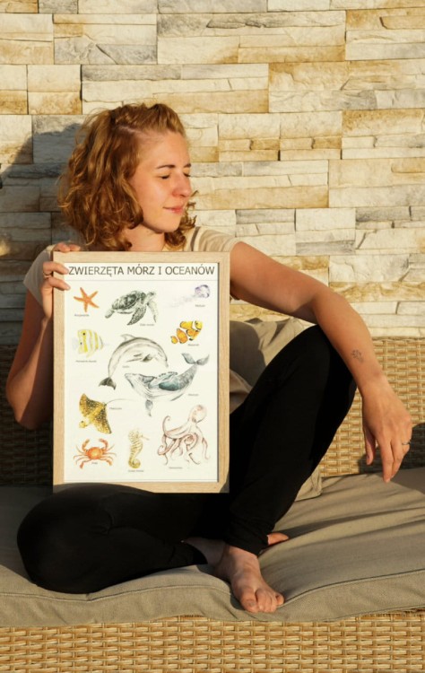 Plakat edukacyjny Zwierzęta mórz i oceanów z ilustratorką